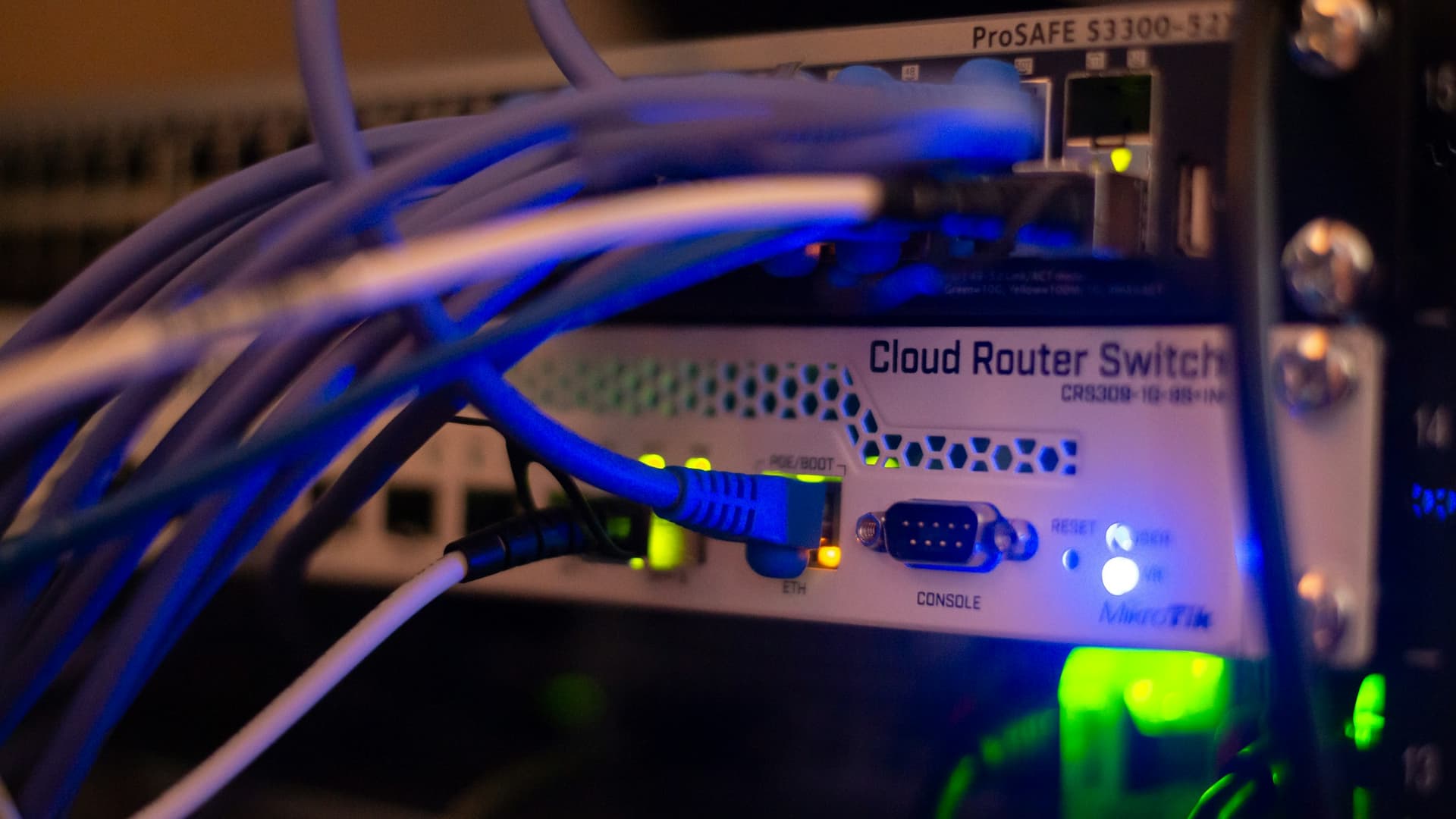 Close-up of blue network cables plugged into a network switch